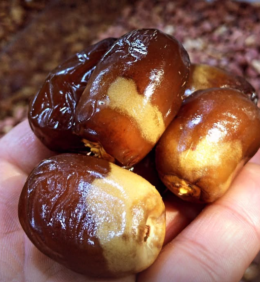 Dattes Boufeggous